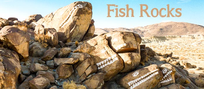 Fish Rocks