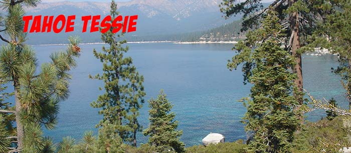 Tahoe Tessie