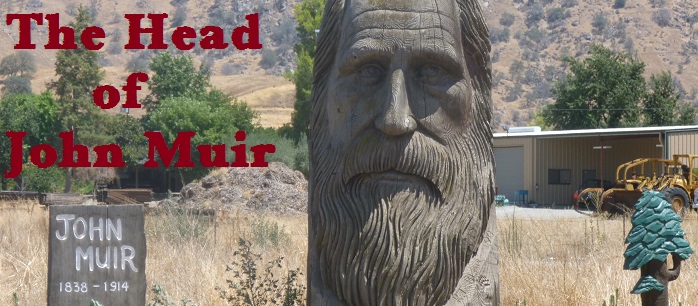 The Head of John Muir