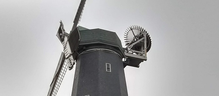 San Francisco Windmills