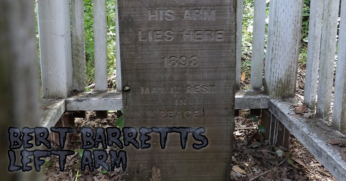 Bert Barrett's Left Arm Weird California